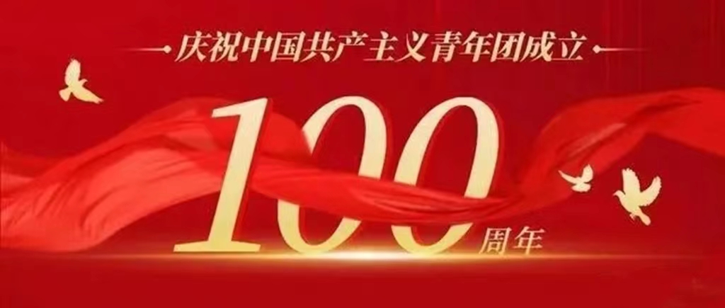 河北省水渠科技有限公司機(jī)關(guān)青年干部認(rèn)真收看慶祝中國共產(chǎn)主義青年團(tuán)成立100周年大會